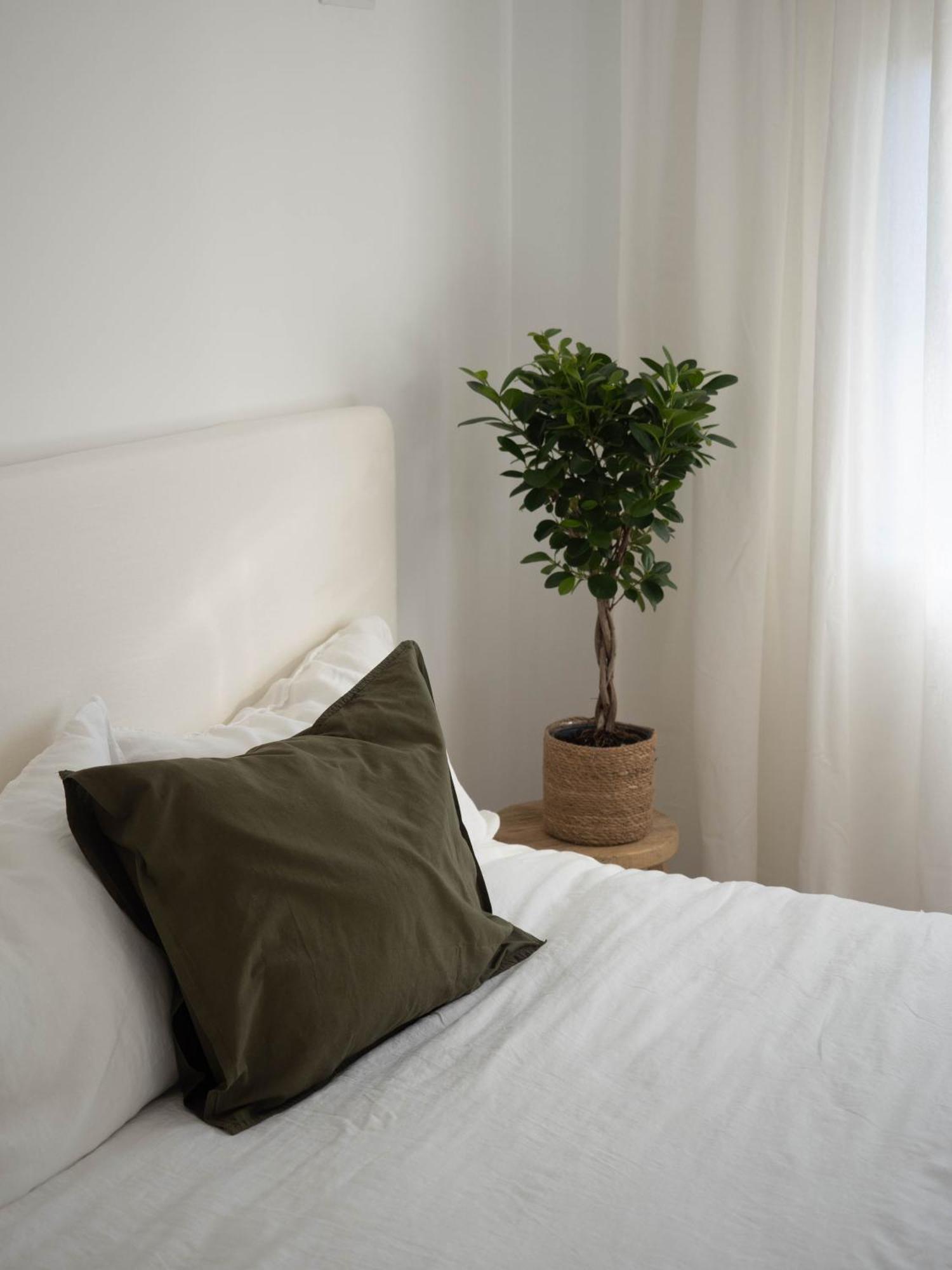 Luxury Apartment In Valencia City Center المظهر الخارجي الصورة